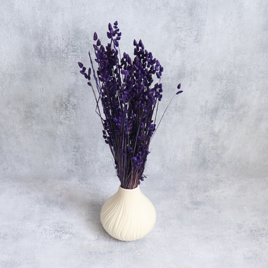 Sušená třesavá tráva Briza viola – elegantní přírodní prvek pro sofistikované aranžmá